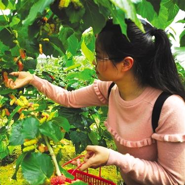 南宁有 大棚的相关长尾关键词有哪些