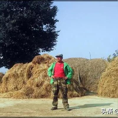 兰州市黄峪镇是哪个区