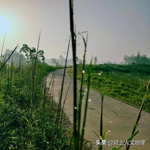 颖上县王岗镇郑家湾几个村？