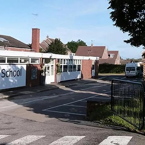 广州市常春藤报价多少