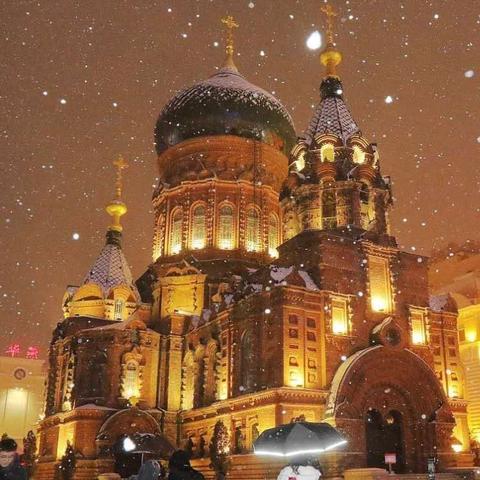 哈尔滨考研住宿选择哪家相关长尾关键词有哪些