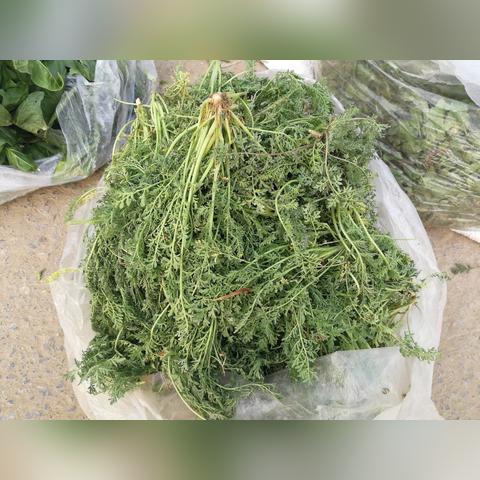 菏泽市早市直播事件的长尾关键词有哪些