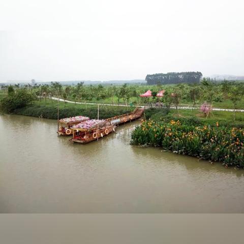 东莞市城市湿地公园有哪些