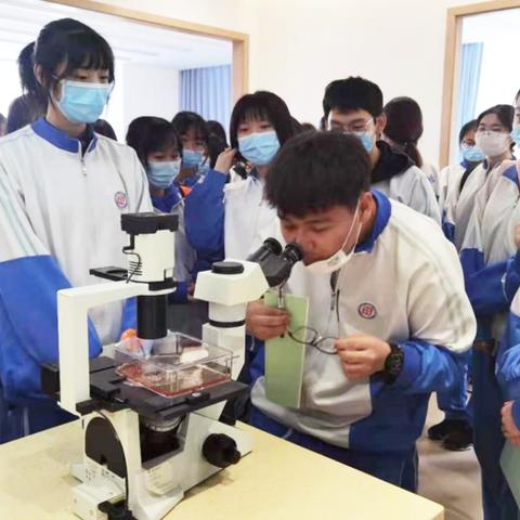 【天津生物高考选择题】长尾关键词有什么