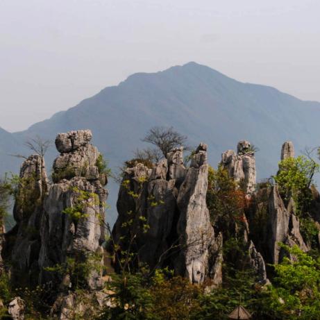 保定市酷热街的长尾关键词有什么