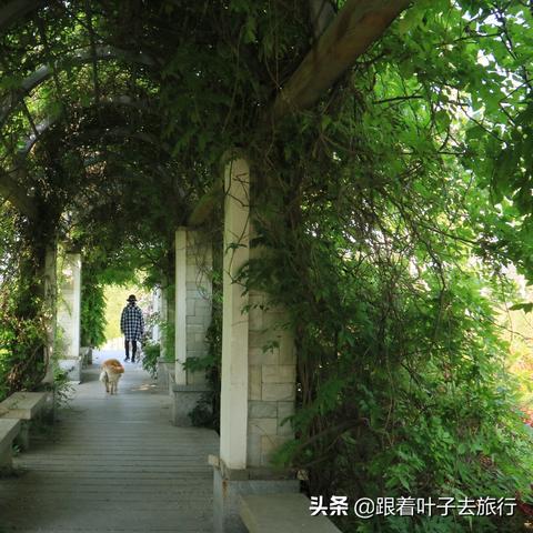 济南市开心垂钓园电话多少