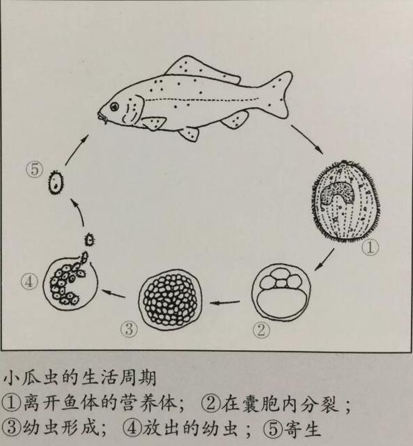 初冬早晚温差大