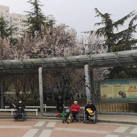 济南市房子买哪个区