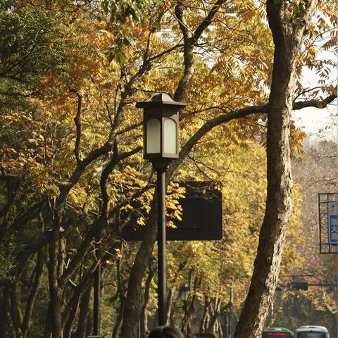 现在温州市房价的长尾关键词有哪些