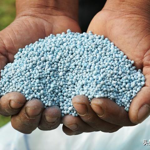 今天复合肥价格行情相关长尾关键词有哪些