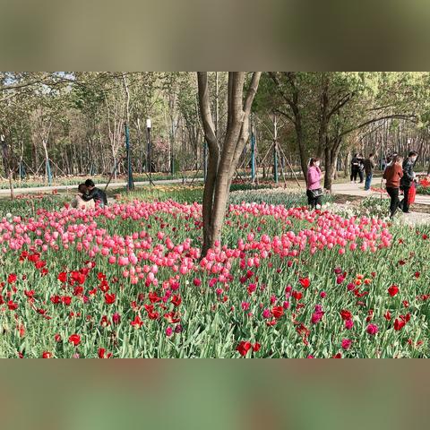 合肥市什么时候开放时间