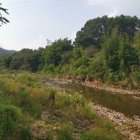 东莞市玩水的地方有哪些