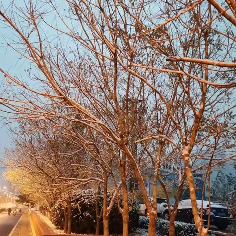 2025.11.11苏州最新天气预报查询