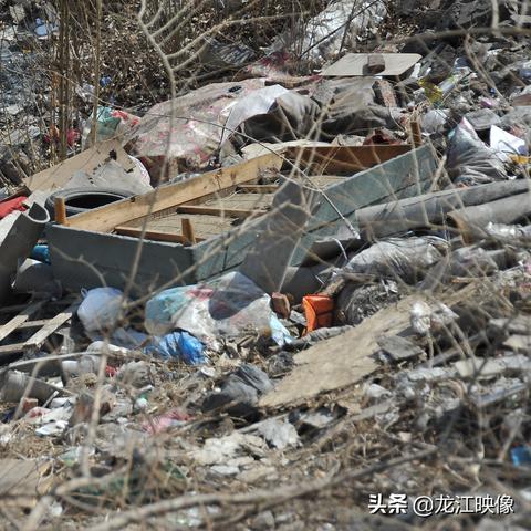 哈尔滨市拉垃圾的车多少钱