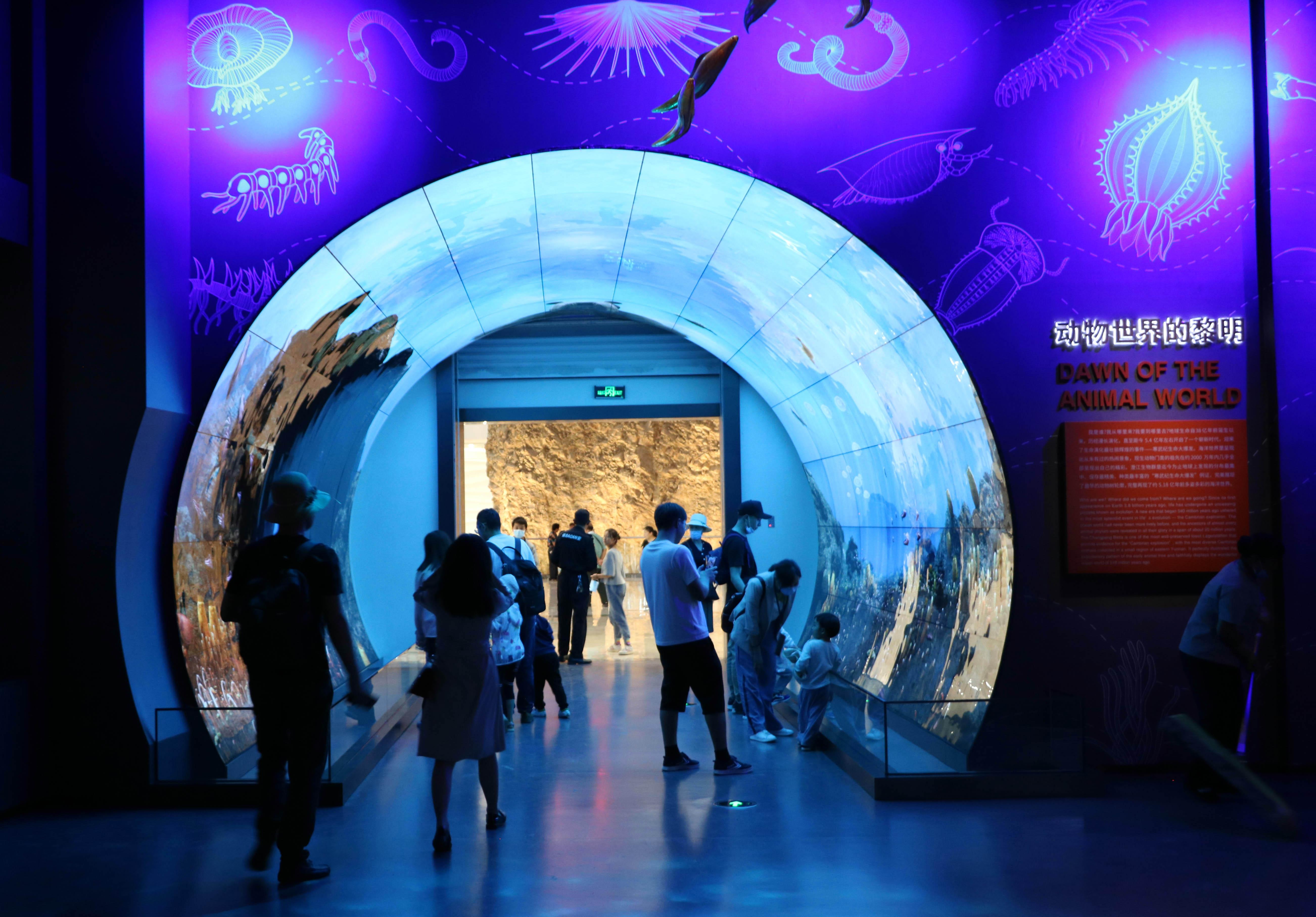 澄江化石研究博物馆