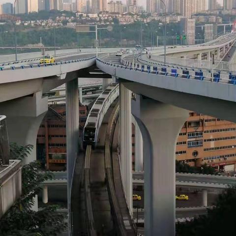 重庆会从怎么样