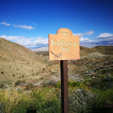 民间古碗图片大全的长尾关键词有什么