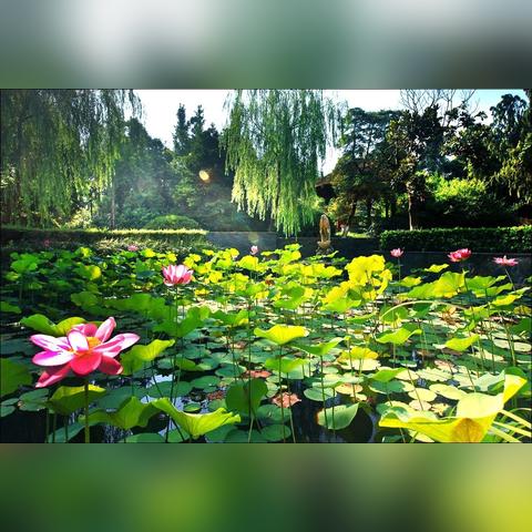 南通市陈氏祠堂电话多少