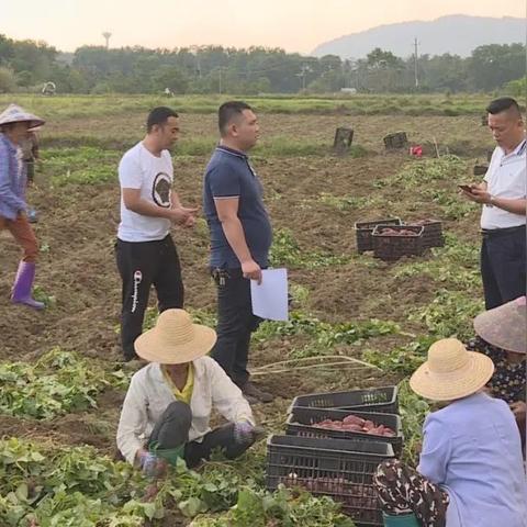 长沙市供销乐农怎么样