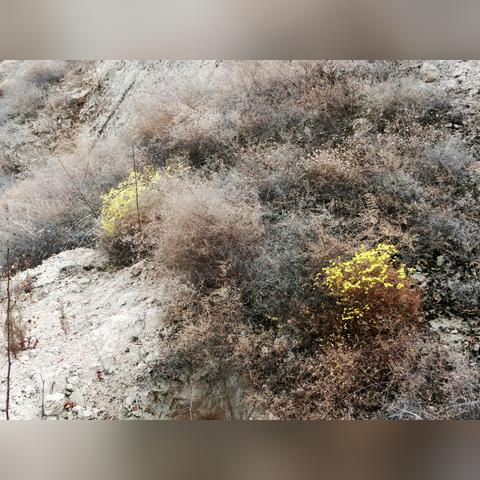 兰州儿童乐园哪里好玩？