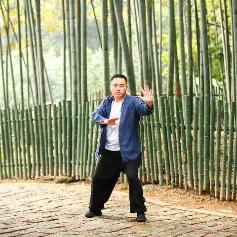 苏州市什么树多