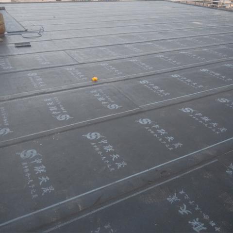 石家庄市房屋补漏的长尾关键词有哪些