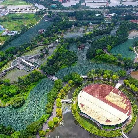 佛山市三水哪里钓鱼