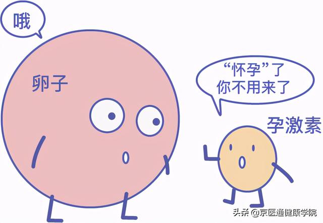 哪些人不能吃短效避孕药