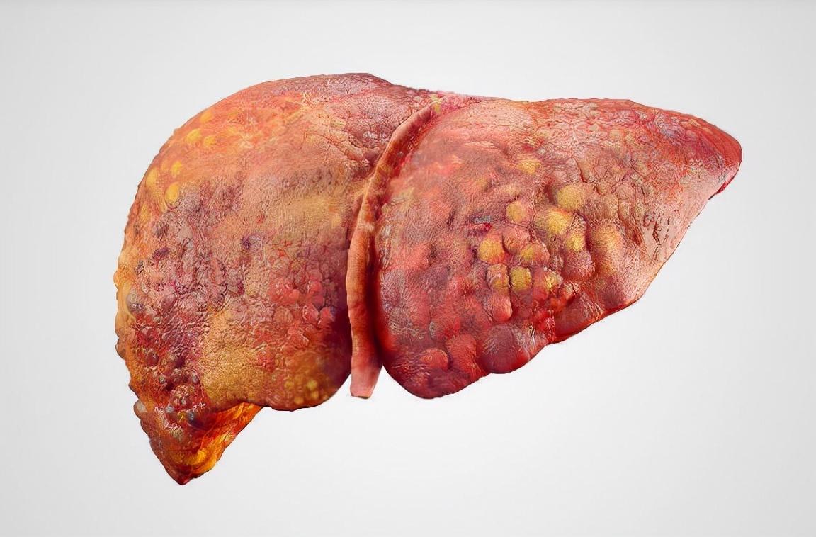 第10期 产品的全生命周期管理