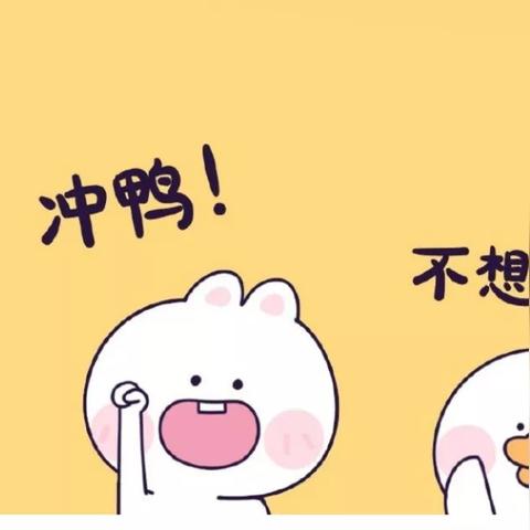 tiktok网络专线在哪办的相关长尾关键词有哪些