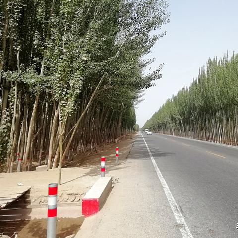 河南烤肉市场怎么样