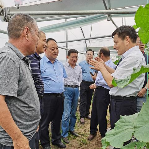 临沂市东方御园小区的长尾关键词有哪些