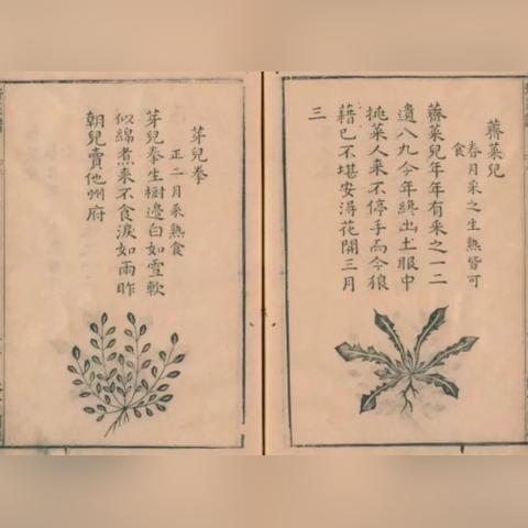 昆明市野菜餐馆电话的长尾关键词有哪些