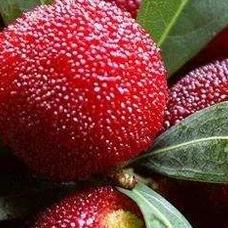 福建省漳州市旅游局的相关长尾关键词有哪些