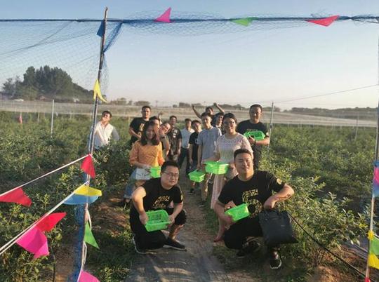头雁风采丨南京江宁：“蓝莓姐”返乡创业带领村民走上致富路