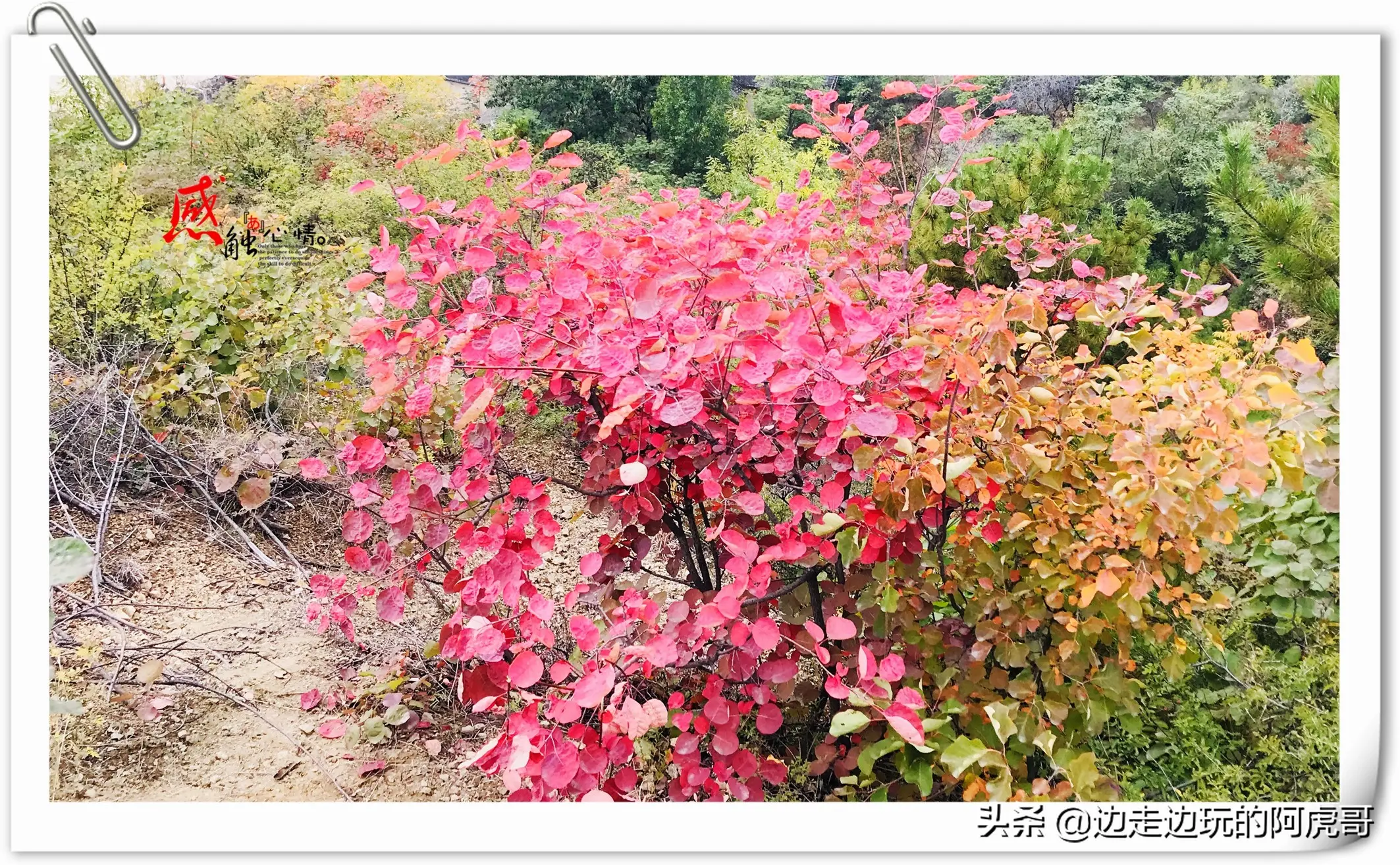 aso谷怎么没有了 加入aso谷费用