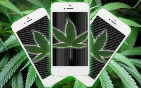 chatgpt为啥这么火 抖音为啥这么火