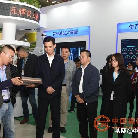 福建龙岩特产茶叶的相关长尾关键词有哪些