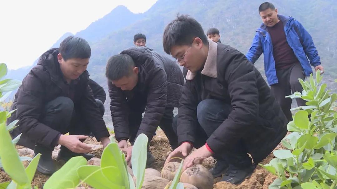 科技与管理论文指导路径和方法和策略的区别