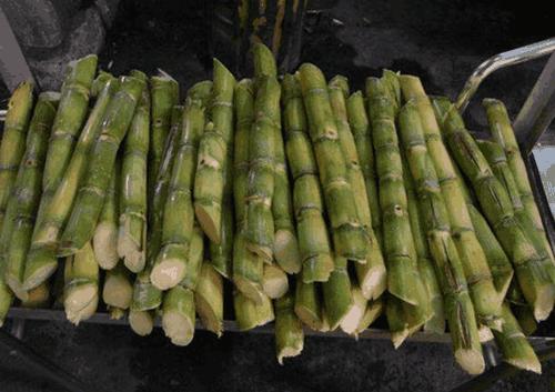 牛宝宝水果起名怎么起好(苹果喂牛的正确方法)