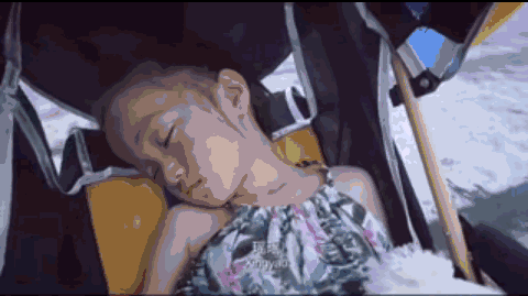 搞笑gif：逛动物园，千万不要把背影留给动物，不然太可怕了