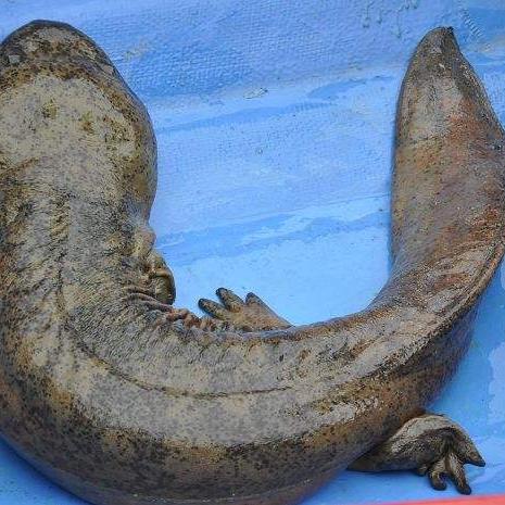 连云港网站设计的长尾关键词有哪些