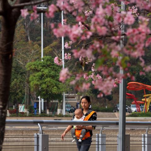 东莞市大樱花酒店地址在哪里