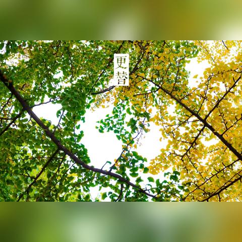 冬季去三亚还是厦门的相关长尾关键词有哪些