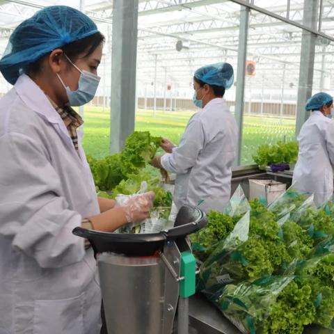 兰陵县离哪个临沂市的火车站近