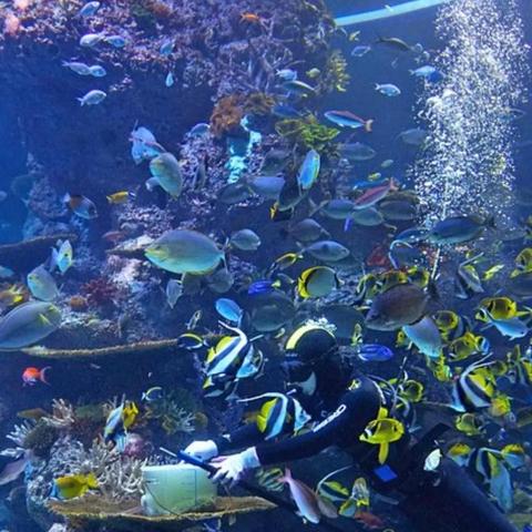 保定市莲池区建公园有哪些