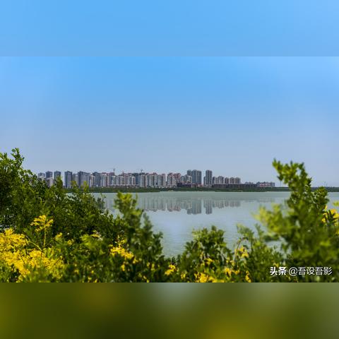 天津哪个地方带狗的多