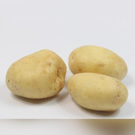 饼丝一般哪里有卖？