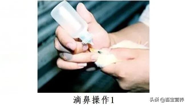 上海防脱产品纳米乳配方(纳米浮漂和芦苇浮漂的优缺点)