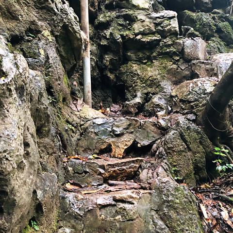 桂林电动车雨中骑行视频相关长尾关键词有哪些